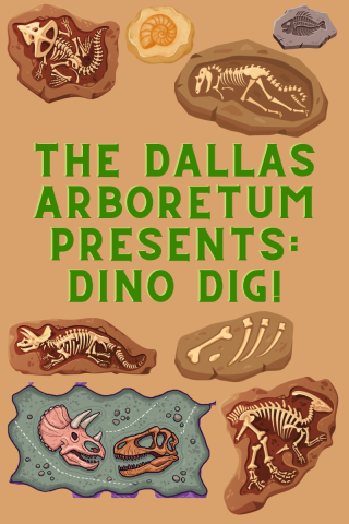 Dino Dig Graphic