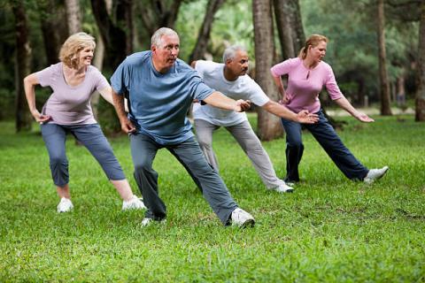 Tai Chi for Adults and Seniors. Mondays and Fridays 11:30 am to 12:15 pm at Skyline Branch Library.