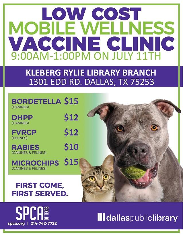 SPCA flyer