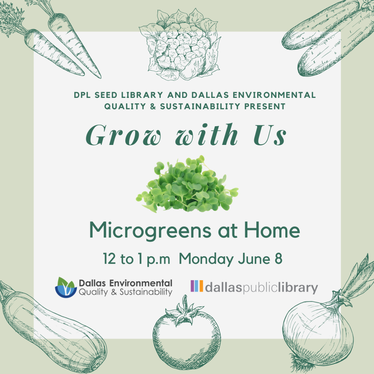 Microgreens at Home