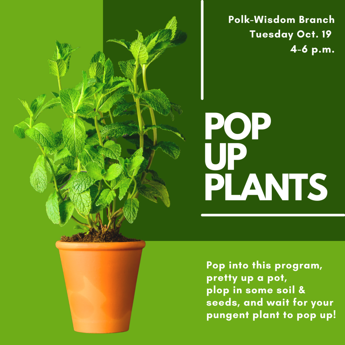 Pop Up Plants