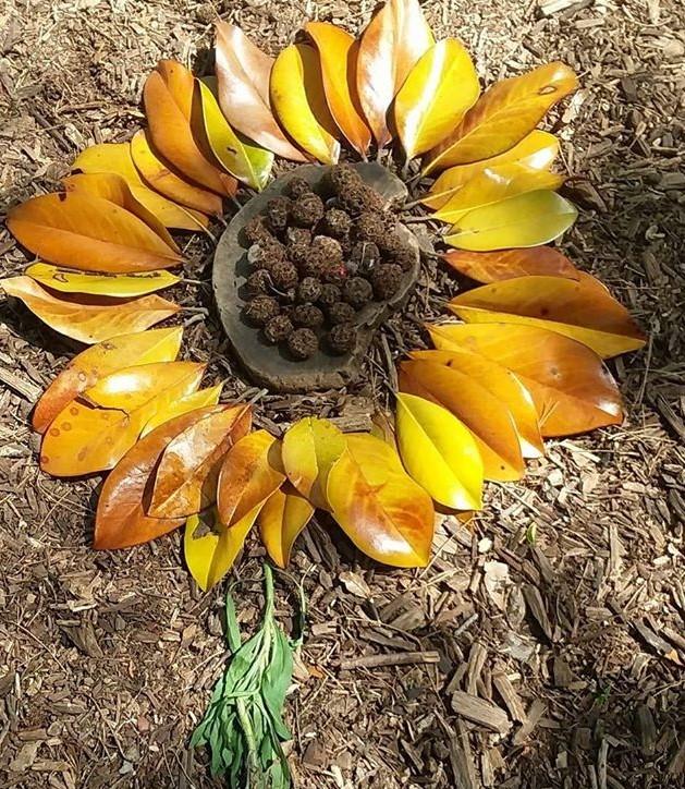 Nature Mandala