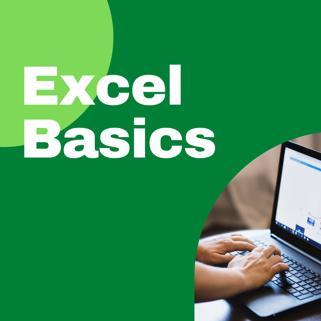Excel Basics