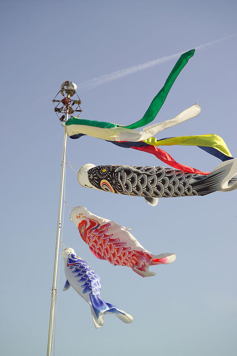 carp windsocks