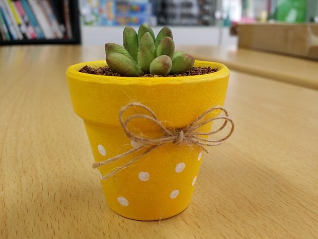 Yellow Clay Pot with Plant