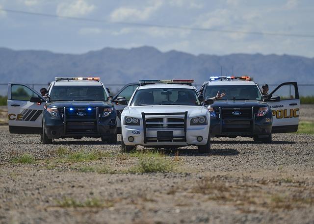 3 Police Cruisers