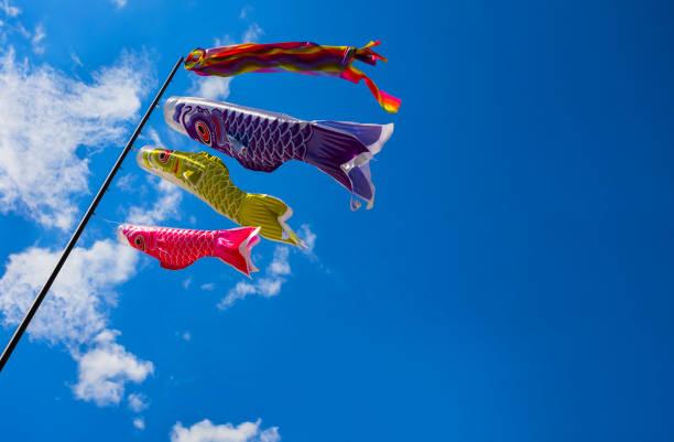 koi kite