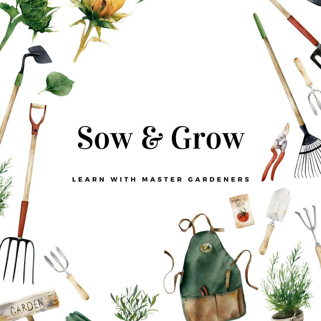 sow and grow