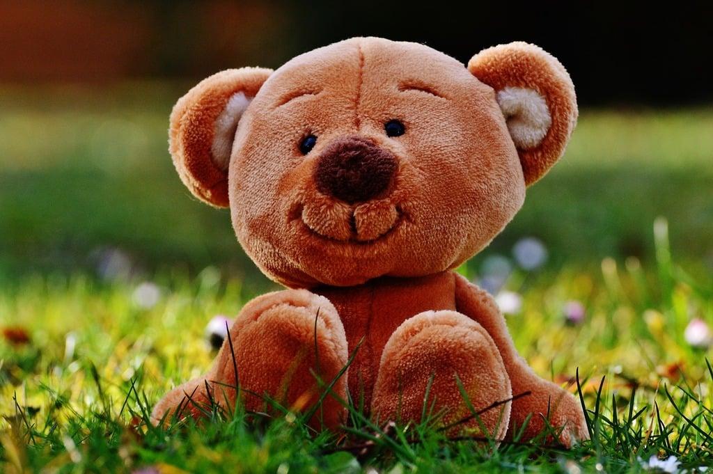 a teddy bear sitting in the sunny grass