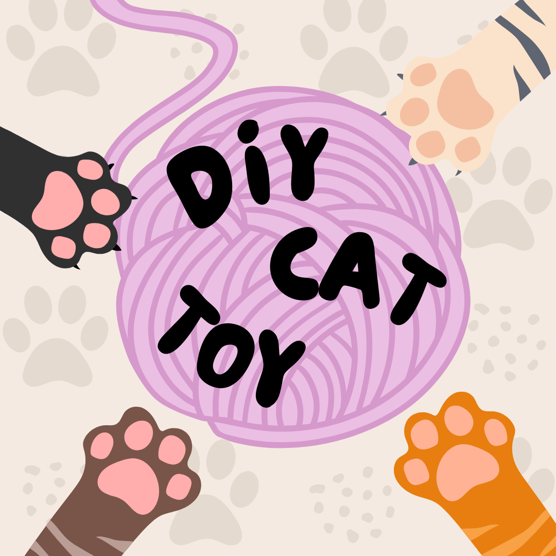 diy cat toy icon