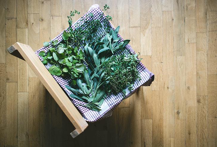 a variety of plants sitting on a chair to be prepared for drying