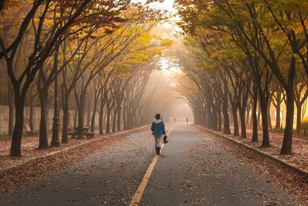 Person walking on path