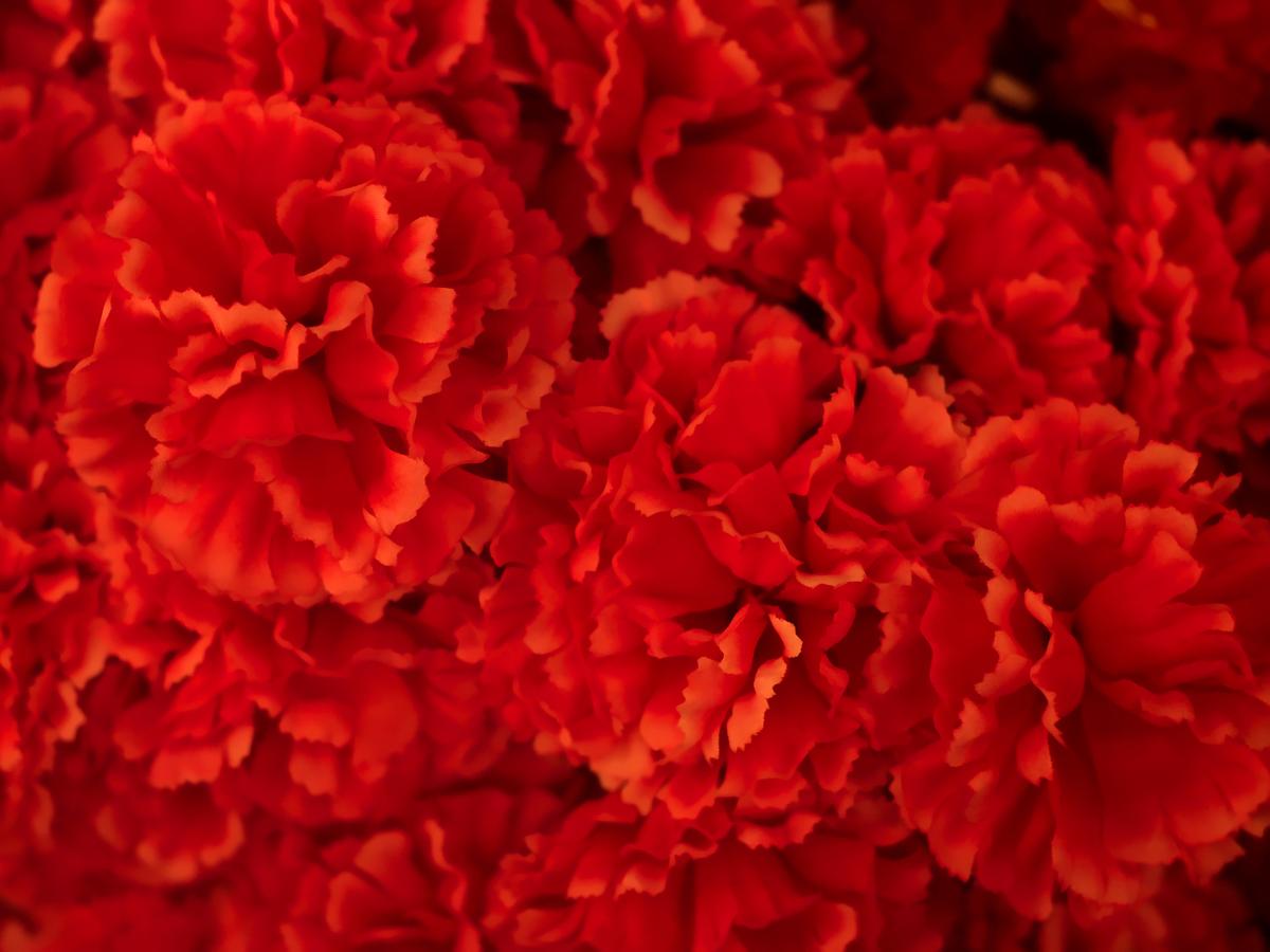 Photo by Bosela on Freeimages.com.