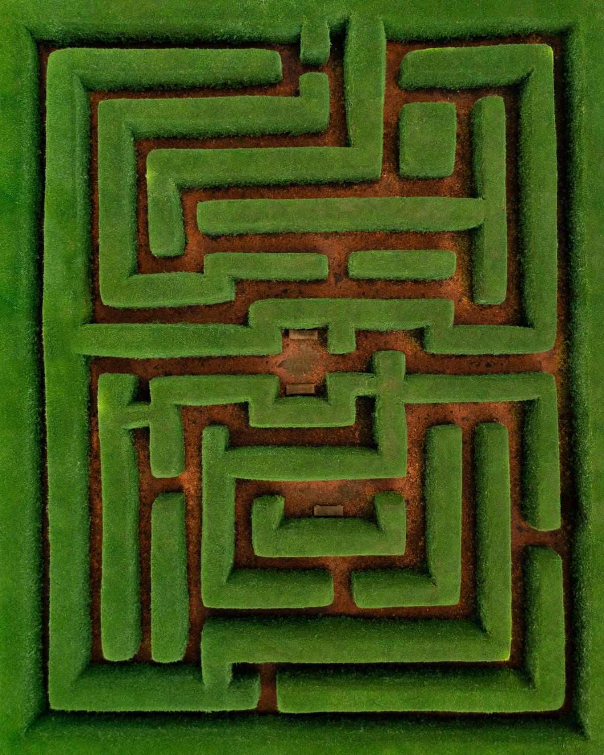 maze with green walls and brown floor