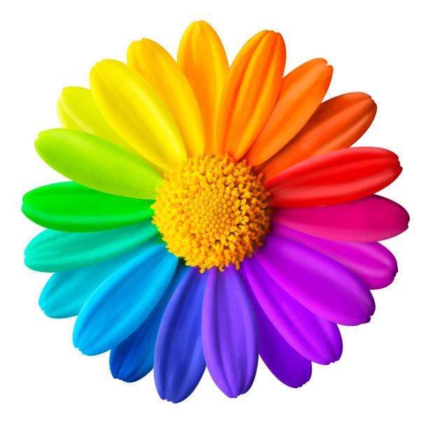 rainbow flower
