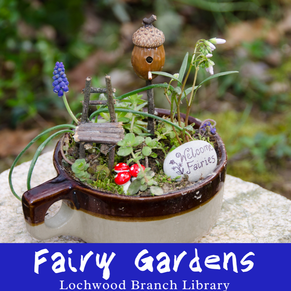 Fairy Gardens Cover Graphic