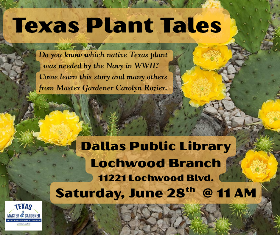 Cover Graphic for Texas Plant Tales