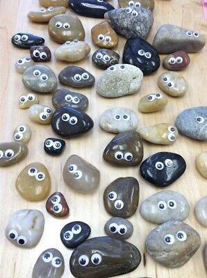 assortment of rocks with eyes glued to them