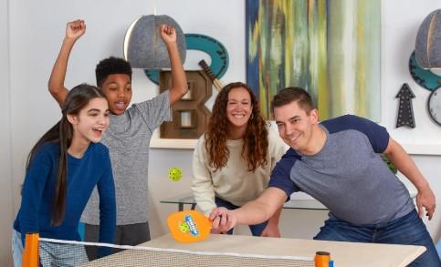 tabletop pickleball game