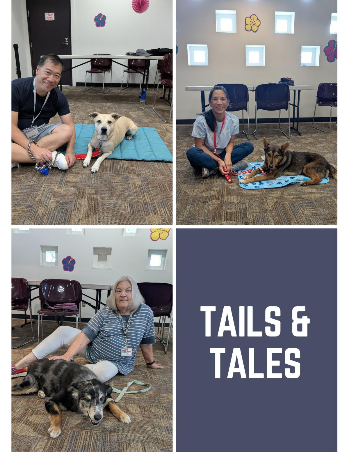 Tails and Tails flyer with 3 therapy dogs and their humans