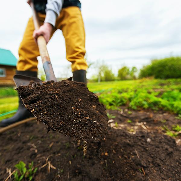 Picture of a person prepping the soil bed. 