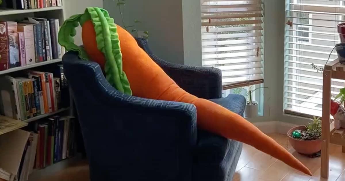 Picture of Overgrown Carrot Pillow Example