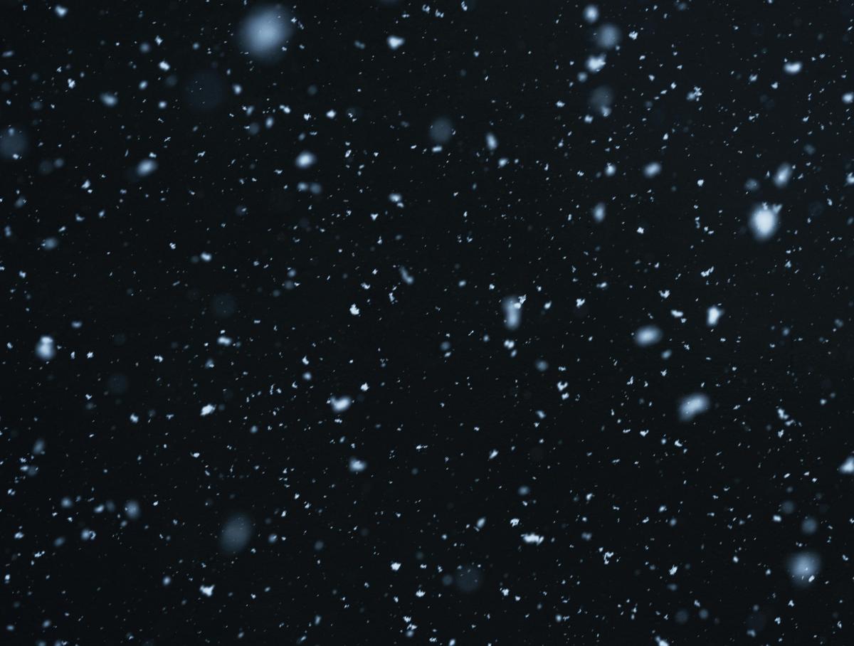 snowflakes on a black background